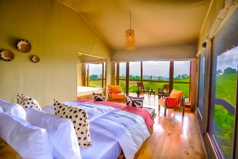 Suite Luxury Tents at the property